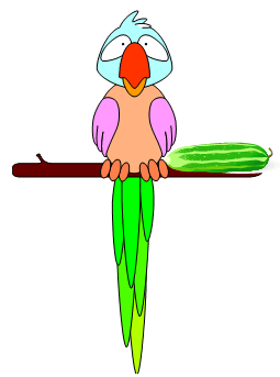 parrot on a perch with a big pickle