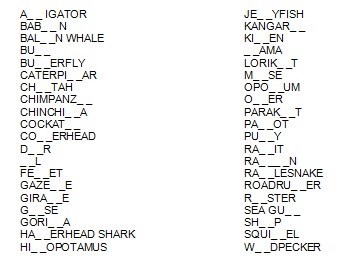 Animals Spelled With Letters Animals Spelled With Letters