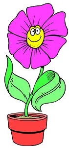 pink flower in pot