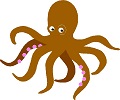 octopus