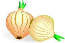 two onions