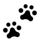 animal paw prints