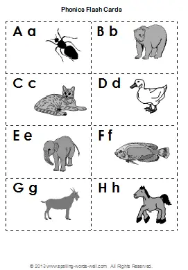 Phonics Flash Cards and Phonics Activities