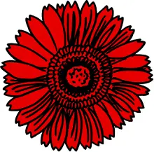 crisantemo rosso