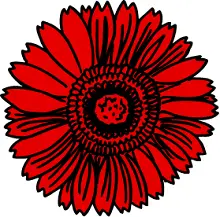 red chrysanthemum
