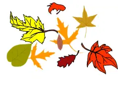 autumn leaves
